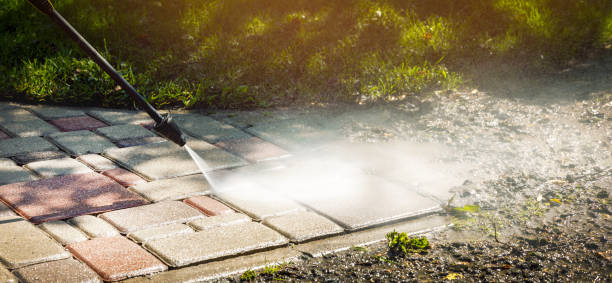 Best Solar Panel Cleaning  in West Orange, TX